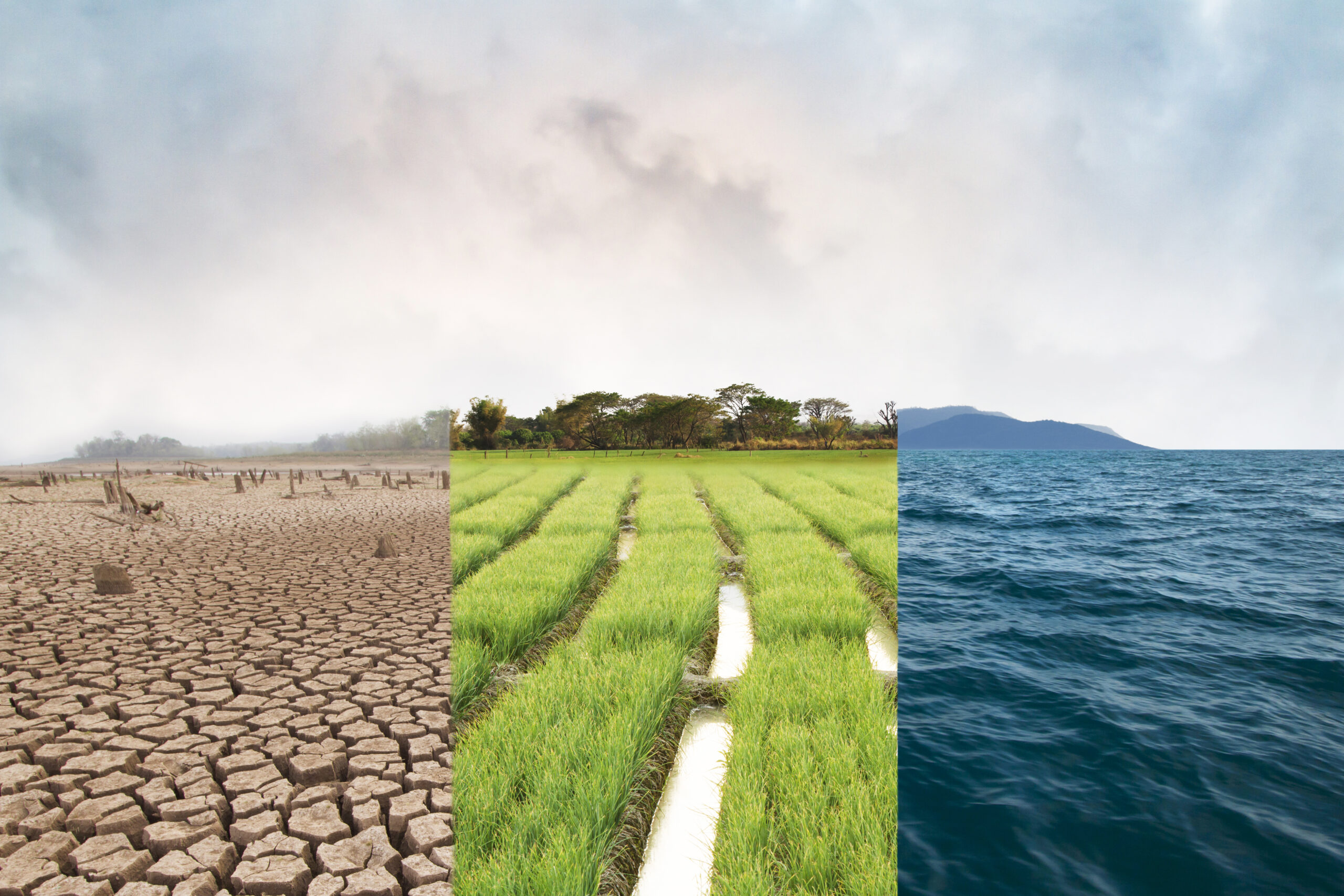 L’Observatoire Défense et Climat (2016-2021) : quel bilan et quels enseignements ?
