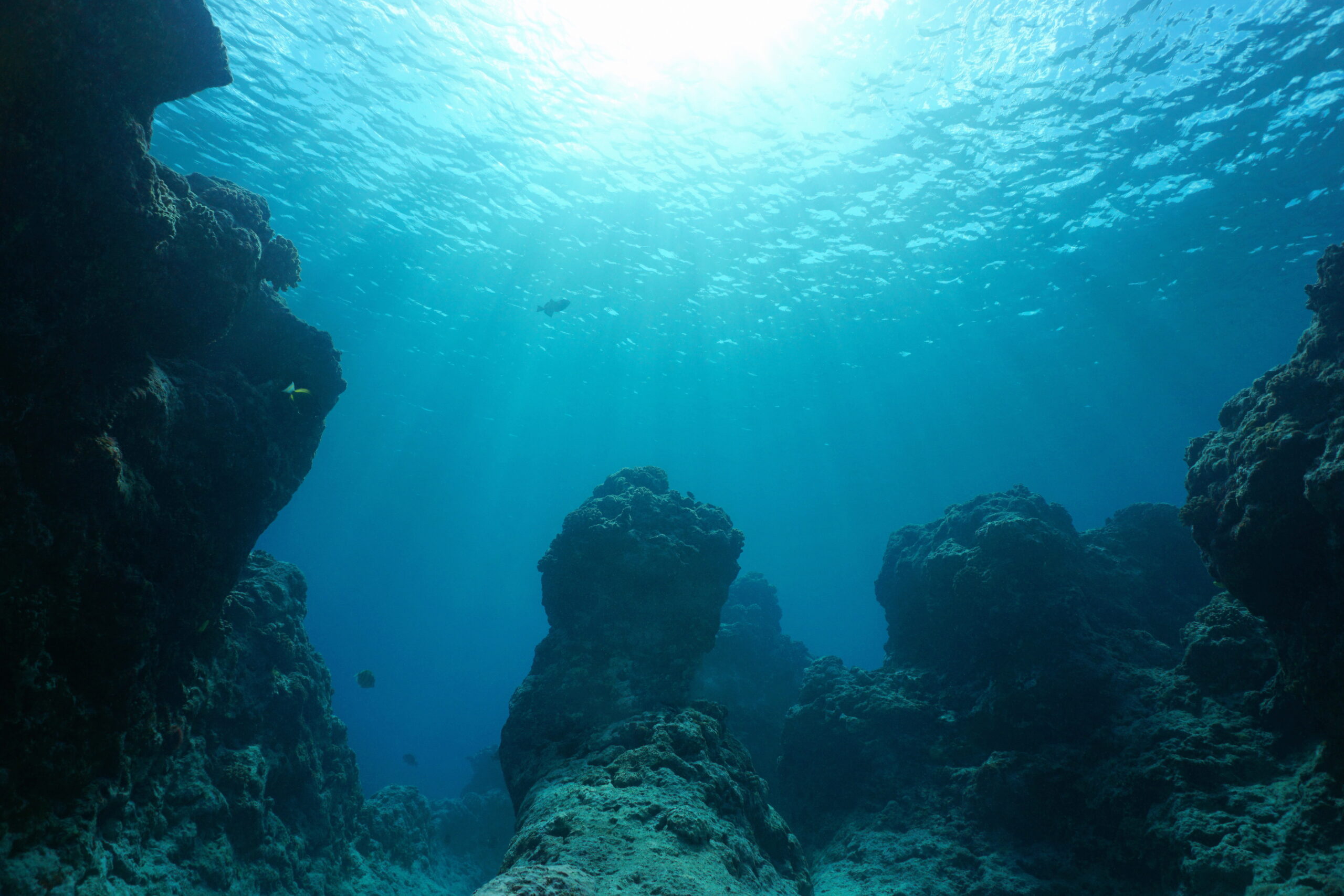 Climate Change Impacts on Biodiversity and Maritime Security in the Bay of Bengal
