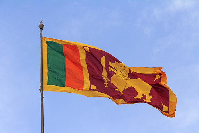 Crise au Sri Lanka : pourquoi le pays est-il en faillite ?
