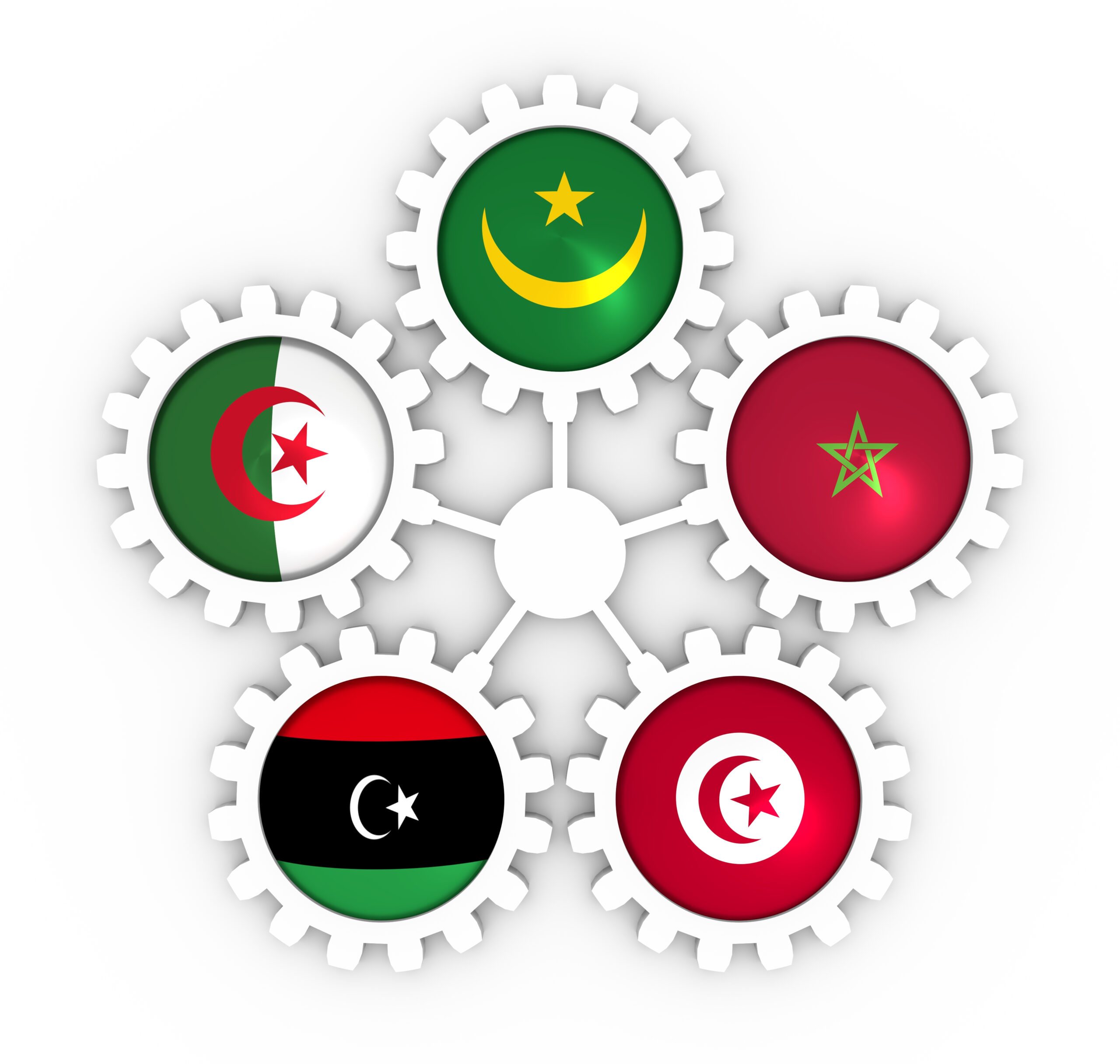 Le Maghreb : état des lieux, enjeux et perspectives
