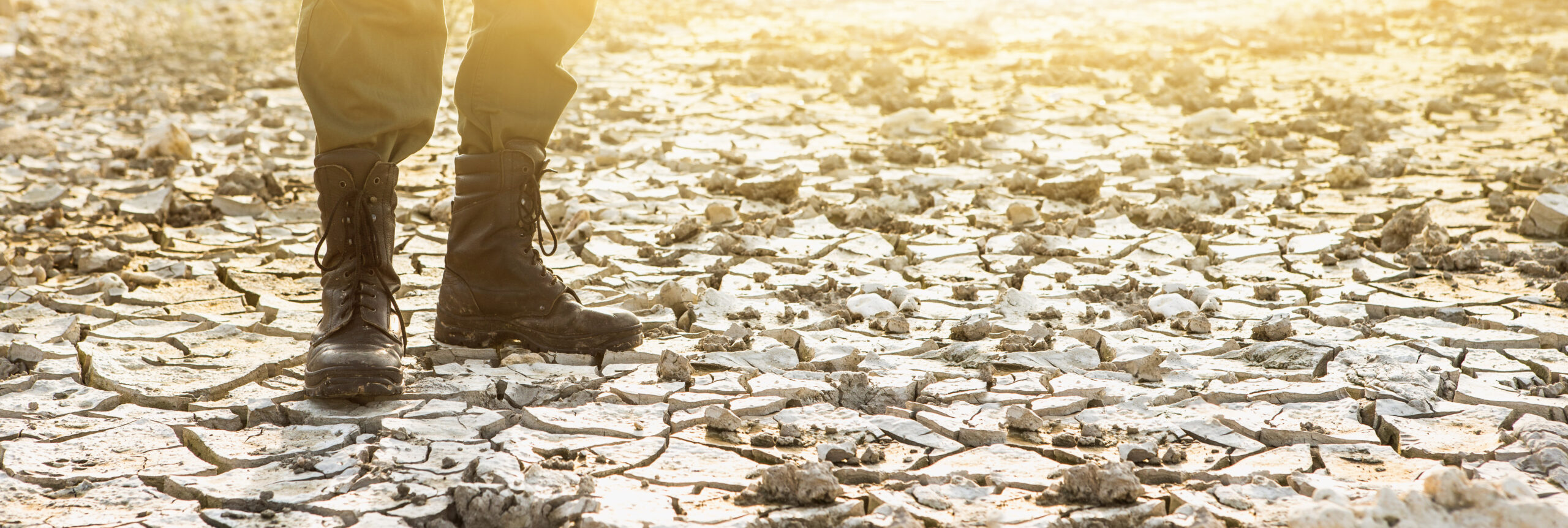 Les armées face aux changements climatiques : quelle résilience ? Quelle responsabilité ?
