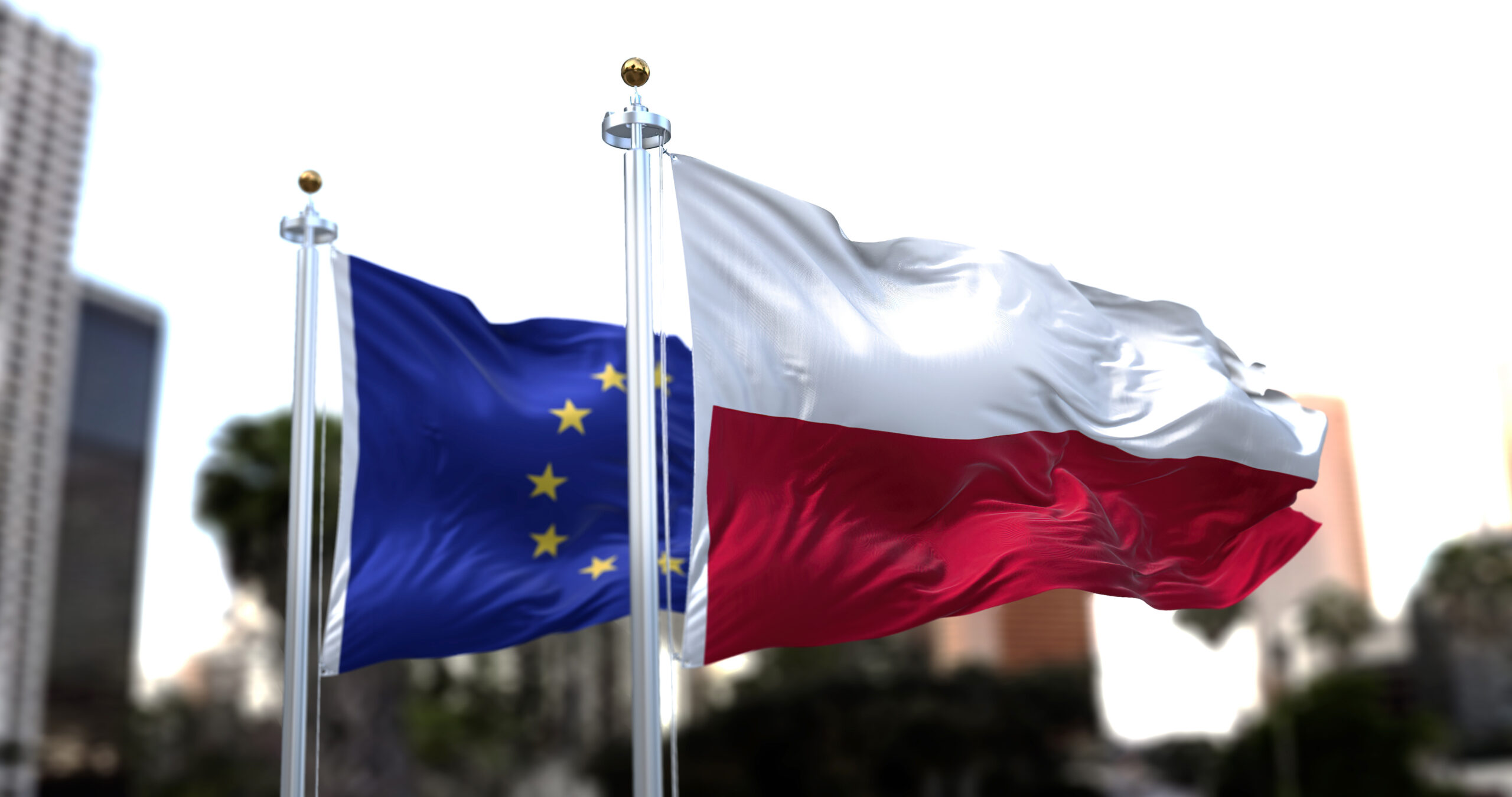 Climate, Security and Economy. Are France and Poland Fit for 55?
