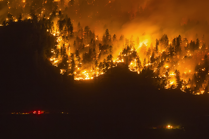 Les incendies en forêt boréale : des conséquences sur le climat et la santé mondiale encore trop négligées
